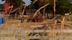 Тайны Смолвиля 3 сезон 5 серия